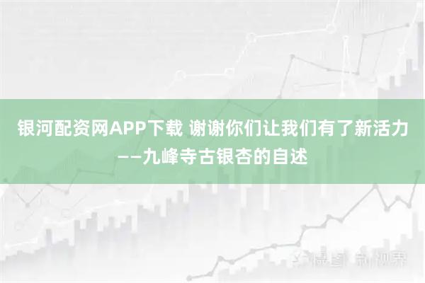 银河配资网APP下载 谢谢你们让我们有了新活力——九峰寺古银杏的自述